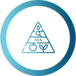 Pyramid diagram with wellness categories including health, fitness, and nutrition