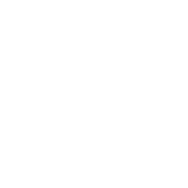 Lungs icon