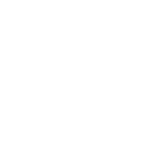 Ankle brace icon