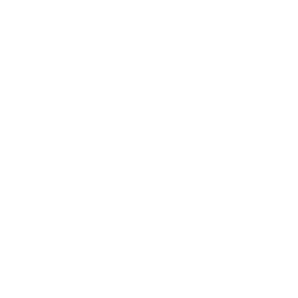 Energy icon
