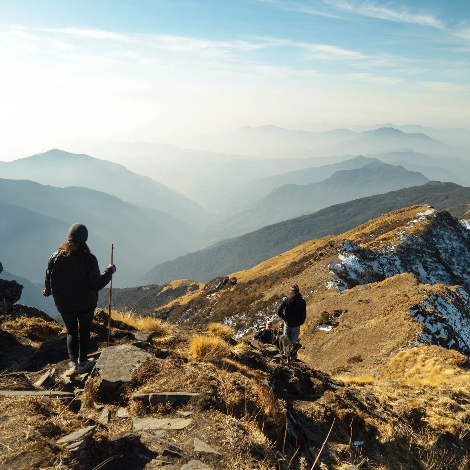 Real-Life Exposures