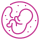 mini tummy tuck pregnancy icon