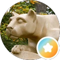 Lucy T. Google reviewer photo