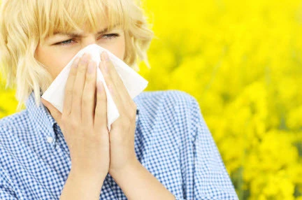 Person blowing nose into tissue with yellow flowers blooming in background