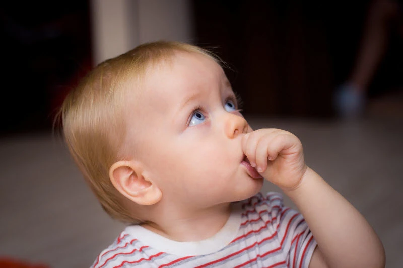 Toddler with thumb in mouth, looking upward