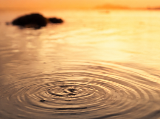 Ripples on calm water at sunset