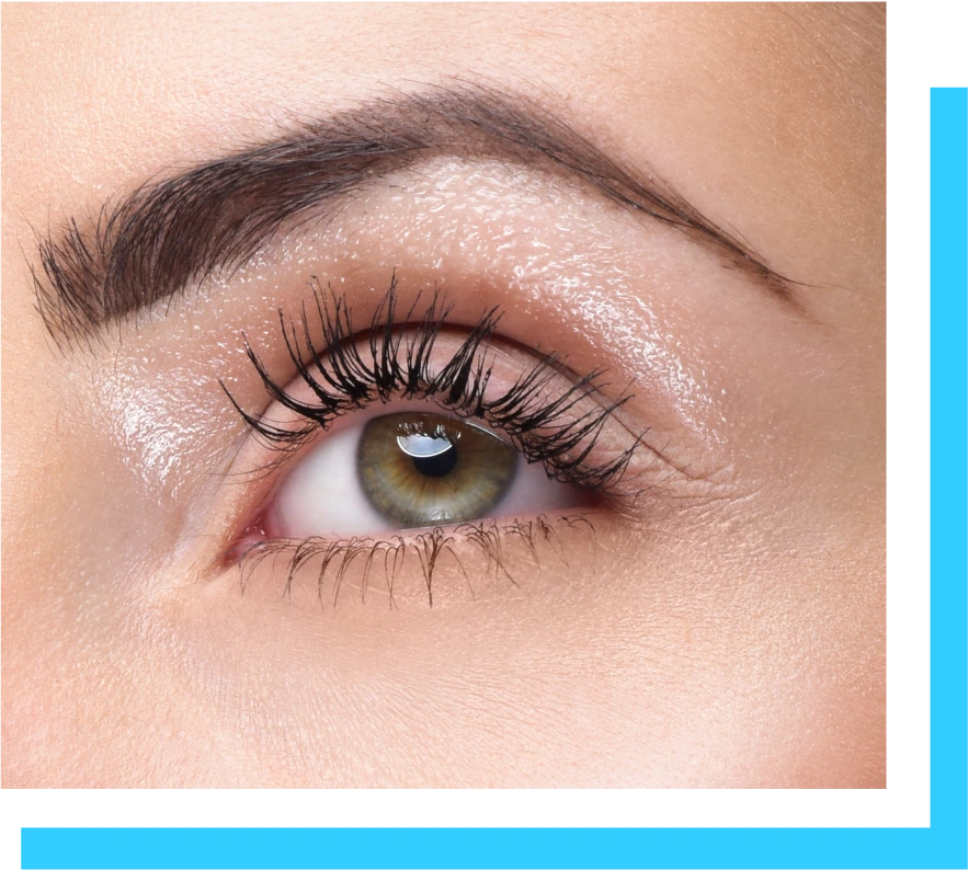 Types of Blepharoplasty Banner