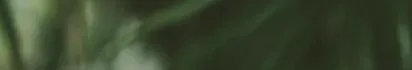 green bg