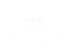 Elysian Plastic Surgery logo