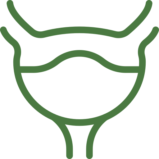 Bladder icon