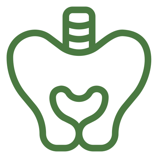 Pelvis icon