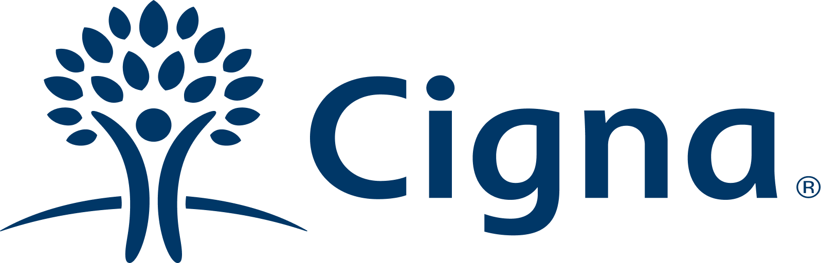 Insurance Provider