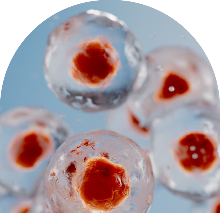 Microscopic view of cells with red nuclei against blue background