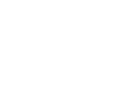 Vector (5)