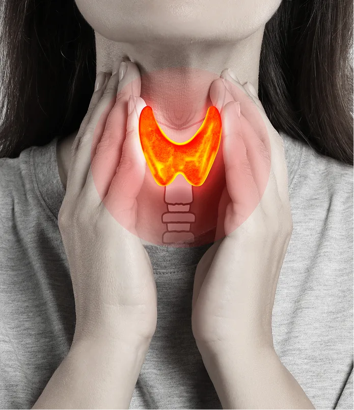 Woman holding neck with glowing red thyroid highlighted to show thyroid pain or inflammation