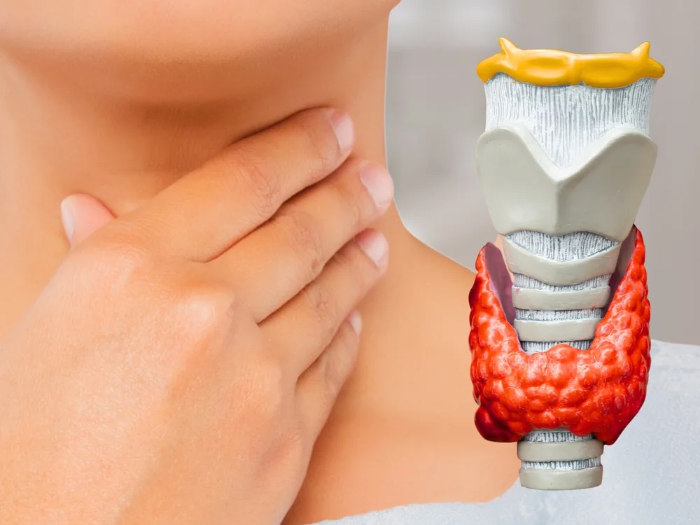 Woman touching her neck beside anatomical model showing thyroid gland highlighted in red
