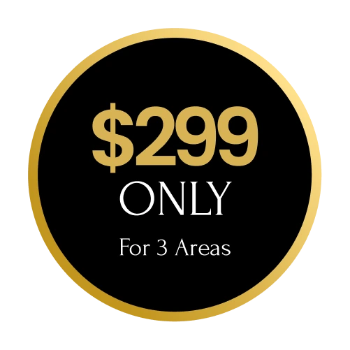 $299 ONLY For 3 Areas pricing badge