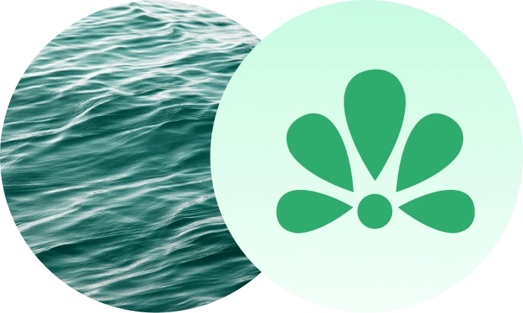 Lift Up Live Well Mental Healthcare logo beside calm ocean water