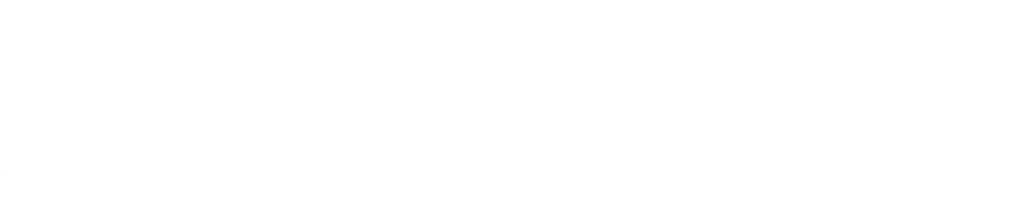 Anthem Blue Cross Blue Shield logo