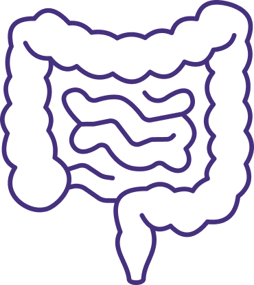 Digestive system or intestines icon