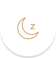 Crescent moon icon with letter Z representing sleep