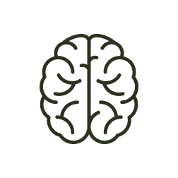 Brain icon