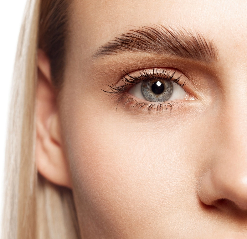 Close-up of woman's gray eye with defined eyebrow and thick lashes