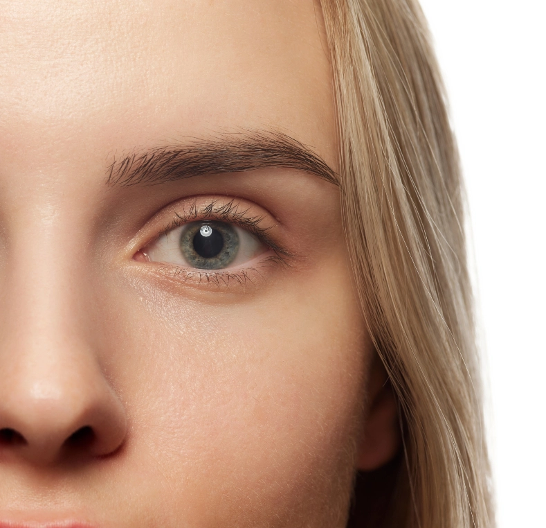 Close-up of woman's gray-blue eye with natural brow and lashes