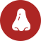 Nose Icon
