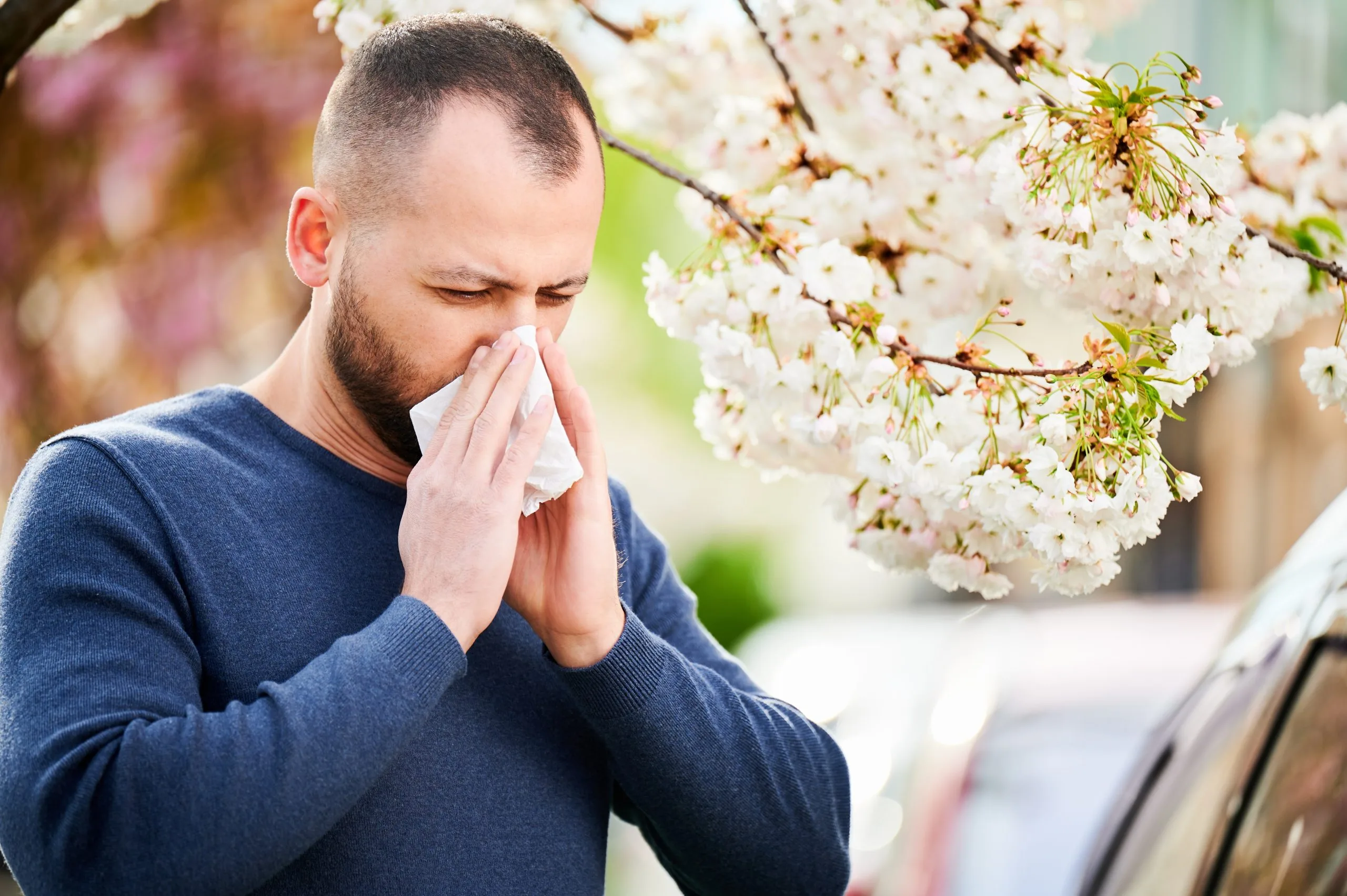 Man blowing nose into tissue near white flowering tree, experiencing allergy symptoms