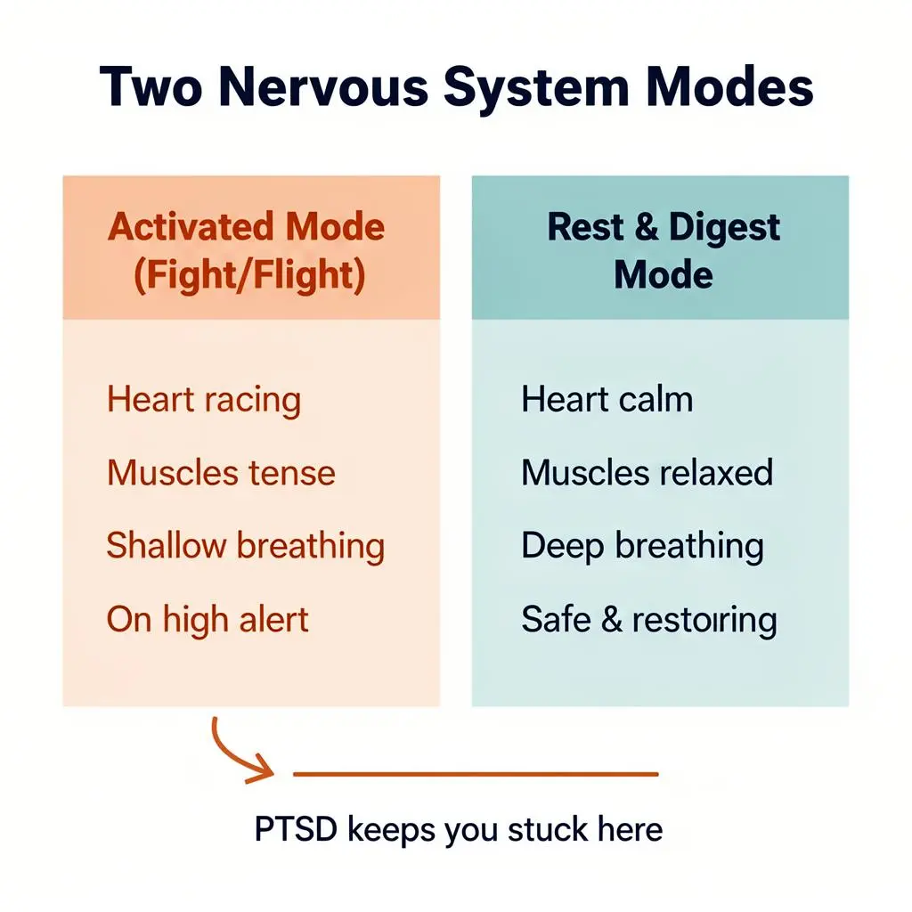 Two nervous system modes: Activated Mode vs Rest and Digest Mode