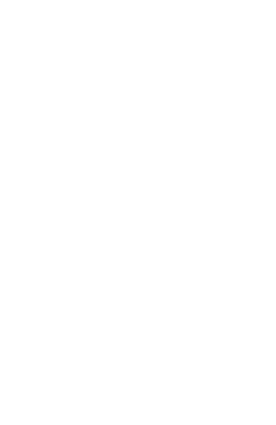 Pilot Practice white logo