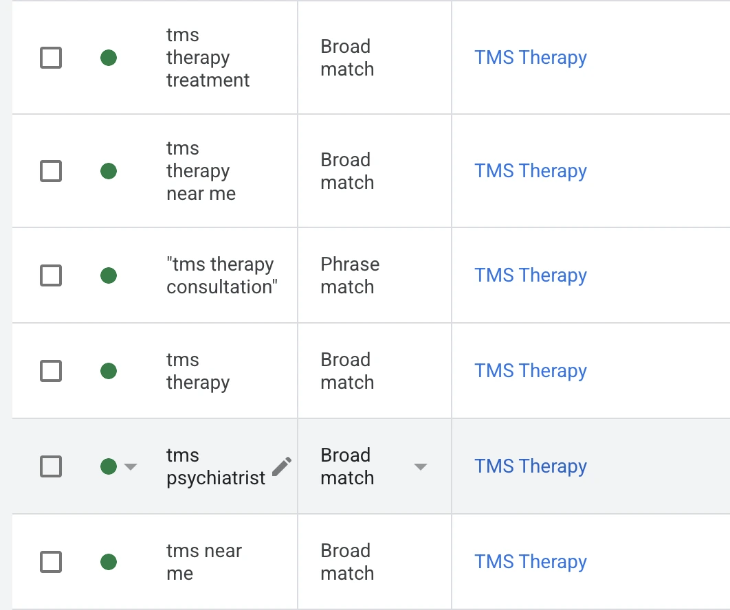 TMS Google ad campaign setup