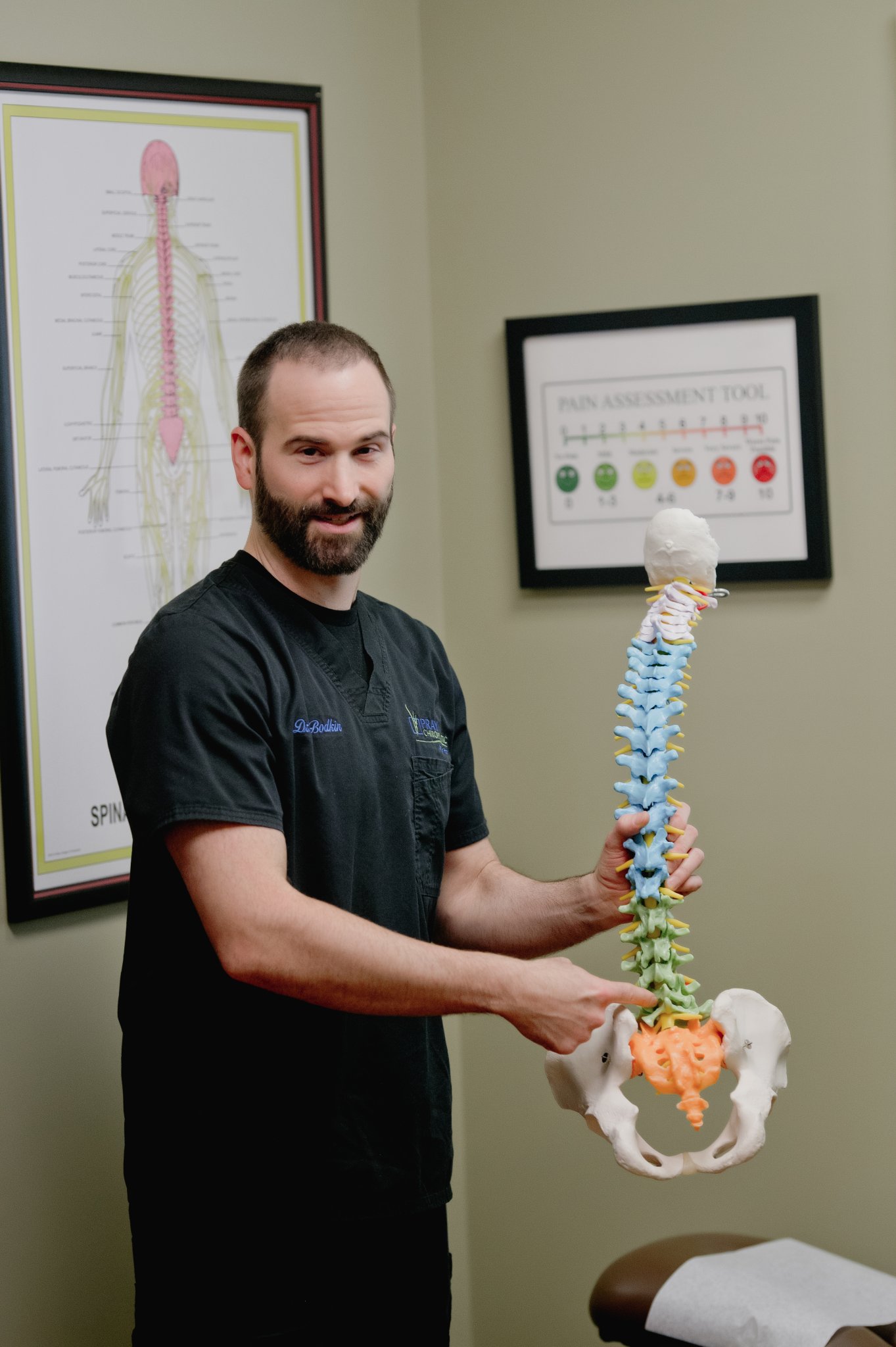 Chiropractor holding colorful vertebral spine model in front of nerve pathway diagram and pain assessment chart