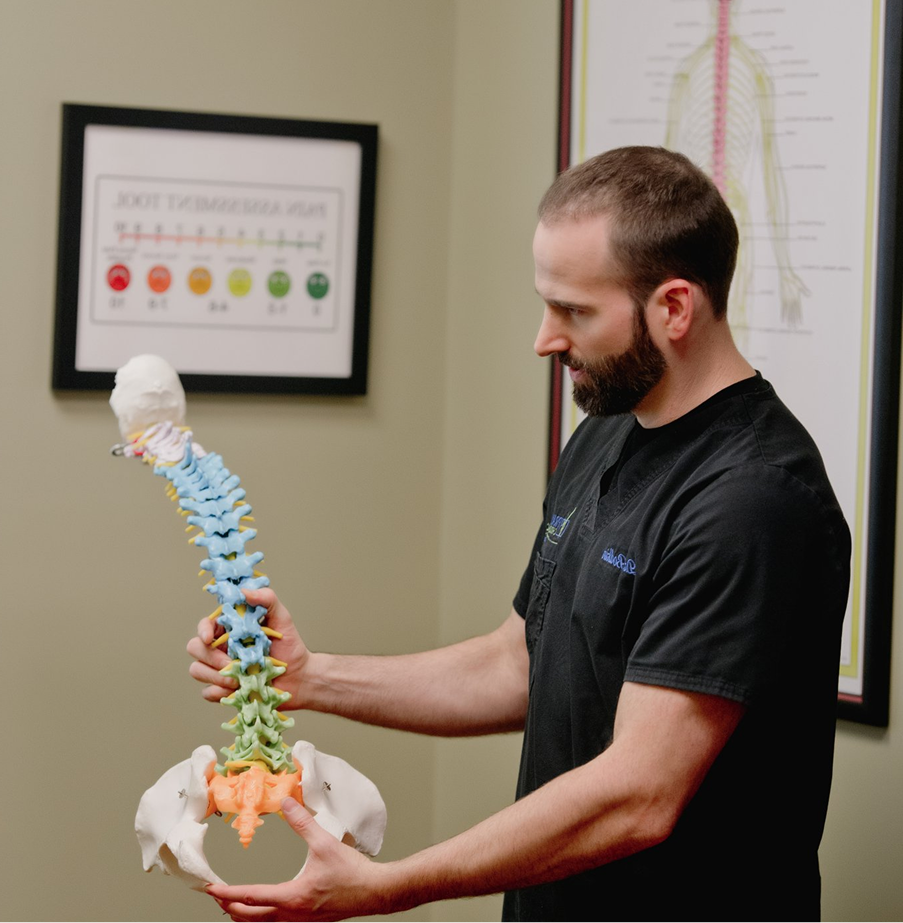 Chiropractor holding anatomical spine model with color-coded vertebrae during patient consultation