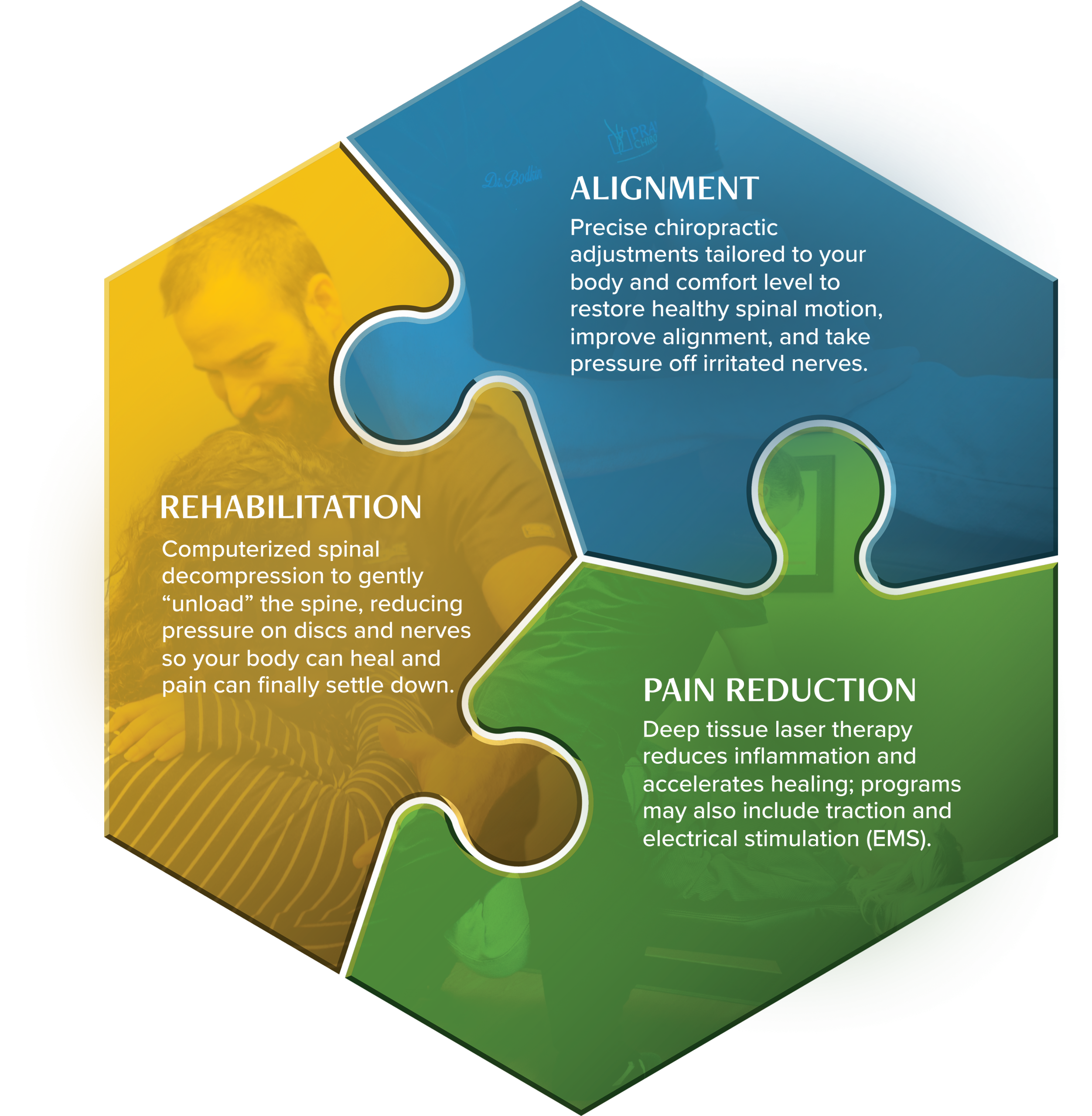 Hexagonal puzzle diagram showing three chiropractic services: Alignment with spinal imagery, Rehabilitation with spine illustration, and Pain Reduction with laser therapy icon