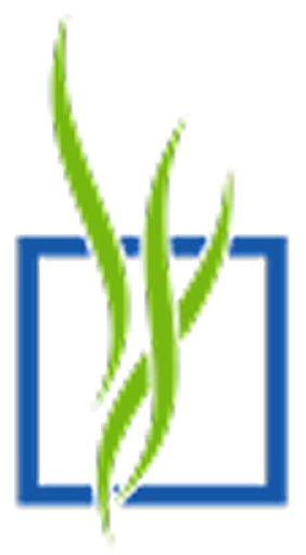 Pray Chiropractic logo with green wellness leaves in blue frame