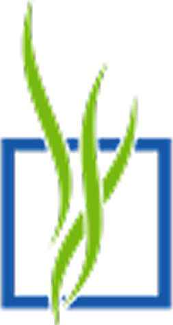 Pray Chiropractic logo with green plant leaves in blue square