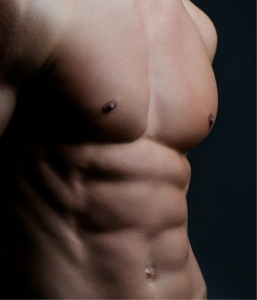Close-up photo of male torso showing chest and abdominal muscles
