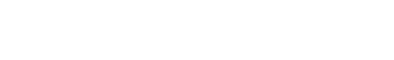 PilotPractice logo