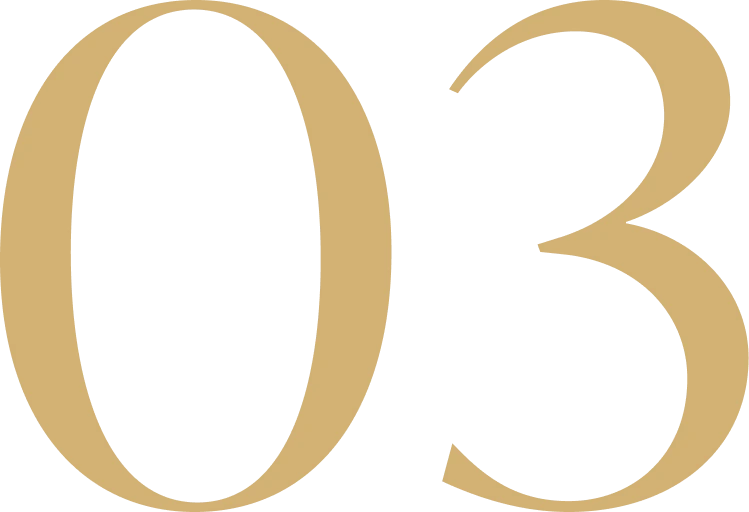 03 (1)