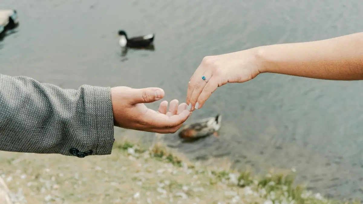 Close-up of two hands reaching for each other by a pond with ducks in the background