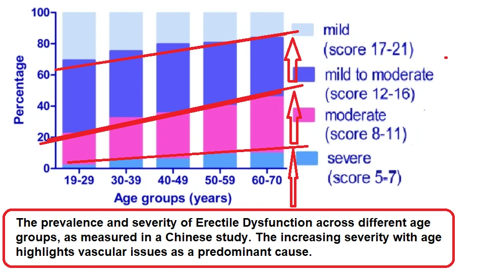 Stacked percentage chart displaying erectile dysfunction prevalence and severity across age groups 19-70+ in a Chinese study, showing increasing severity with age