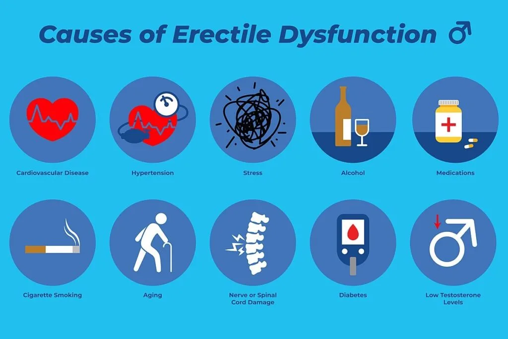 Causes of Erectile Dysfunction: cardiovascular disease, hypertension, stress, alcohol, medications, cigarette smoking, aging, nerve or spinal cord damage, diabetes, low testosterone levels
