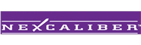 Nexcaliber logo