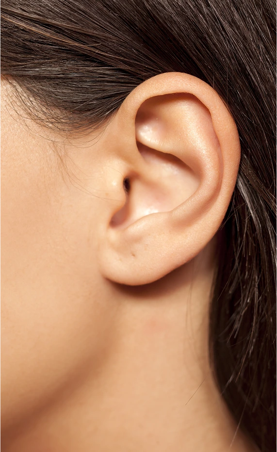 Earlobe Repair Miami, FL: Types of Earlobe Repair Banner