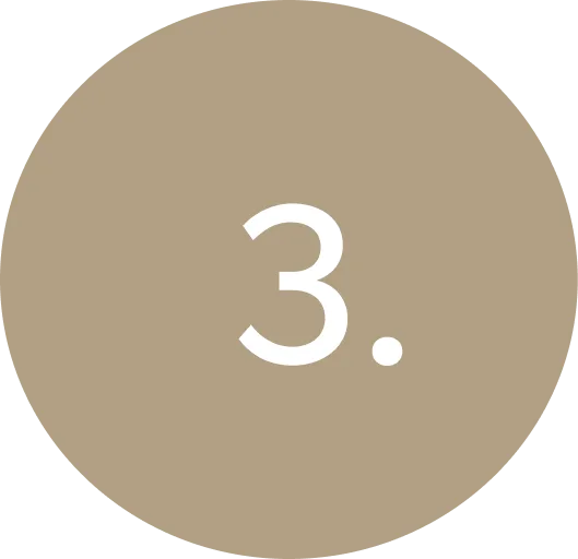 Silver - Expect icon 3