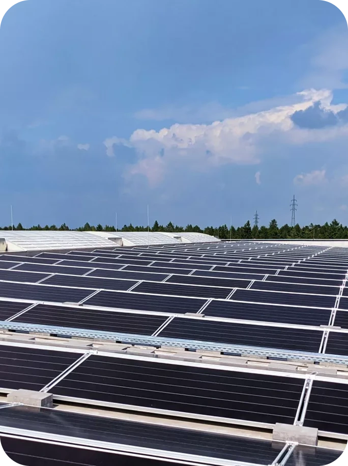 Solar panels installed on rooftop with forest and power transmission tower under blue sky