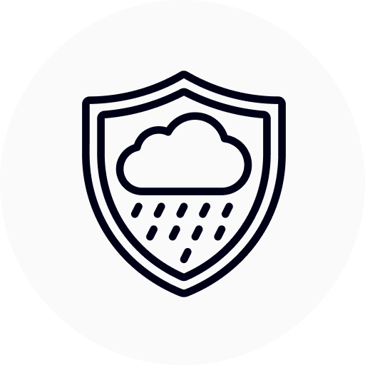 Shield with cloud and rain, representing weather protection
