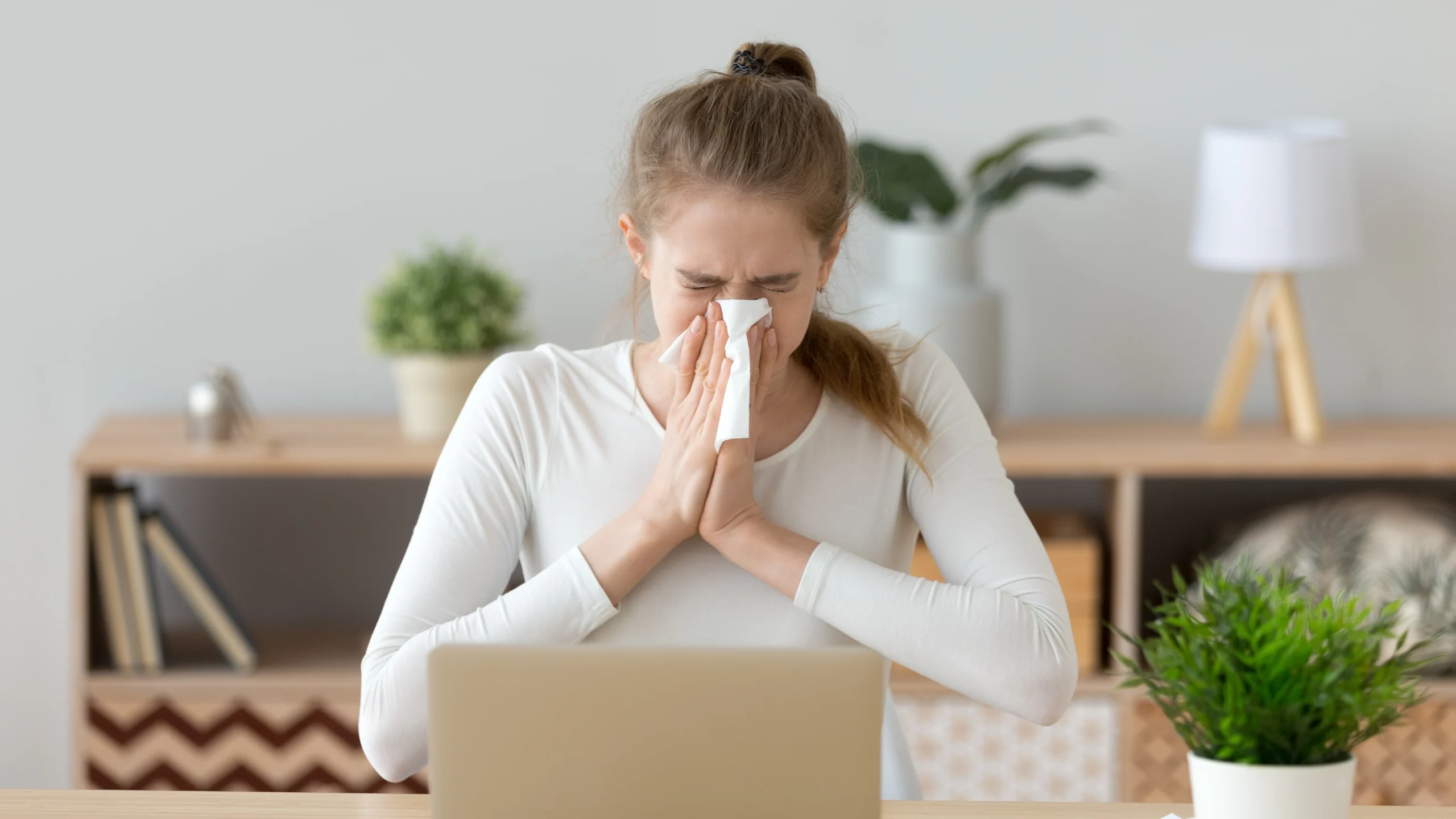 Chronic Sinusitis Treatment Banner